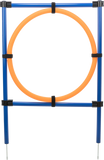 Fun Agility Ring