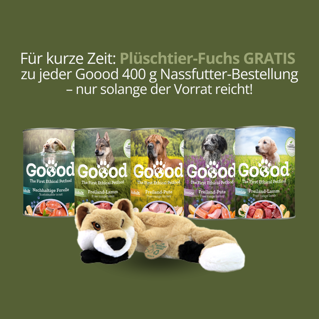 Goood Adult Nachhaltige Forelle 400 g