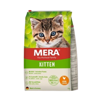 Mera Cat Kitten Huhn